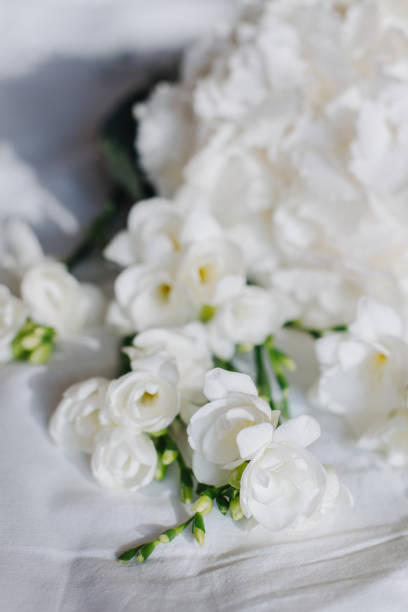 istock Beautiful white Freesia and Hydrangea flowers on a white background in a morning sunlight. 1601478856
