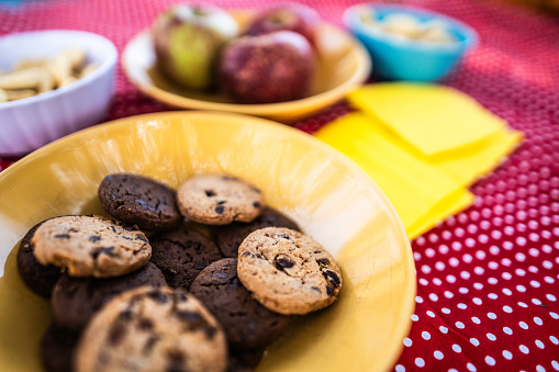 Cookies on a picnic blanket