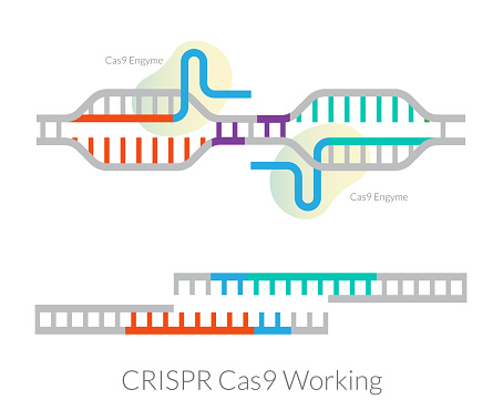 Gene Modifying Genetics Research Gene Editing And Modifying Dna Helix Crisprcas9 ...