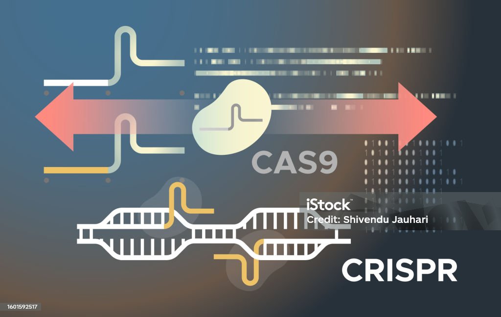 Gene Modifying Genetics Research Gene Editing And Modifying Dna Helix Crisprcas9 ...