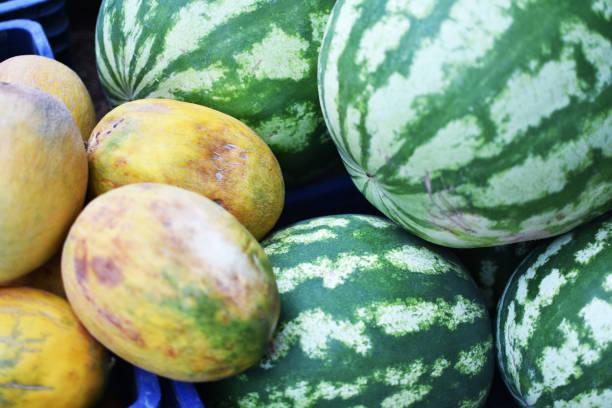 istock Natural and organic water melons,Melon 1601618713