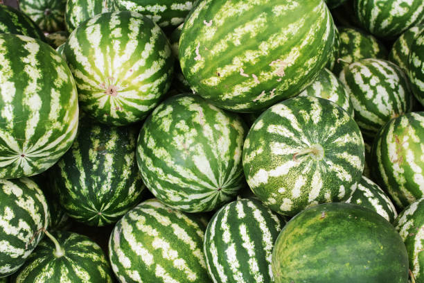 istock Many big sweet green watermelons. 1601620305