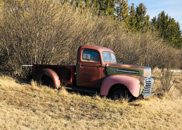 istock Farm truck 1601624040