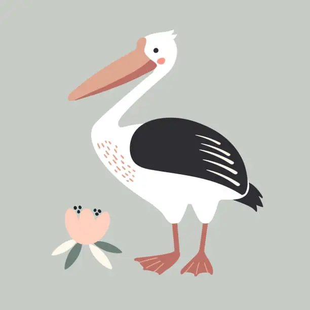 Vector illustration of Pelican bird with lotus flower illustration in flat style.