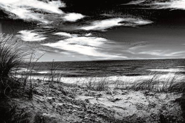 istock Dunes and sea in a black and white shot 1601663095