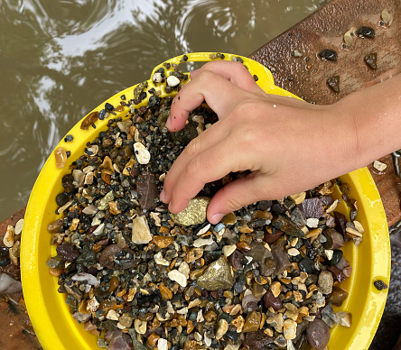 Panning for gold amongst gravel and sands - small hand reaches in to grab the golden nugget