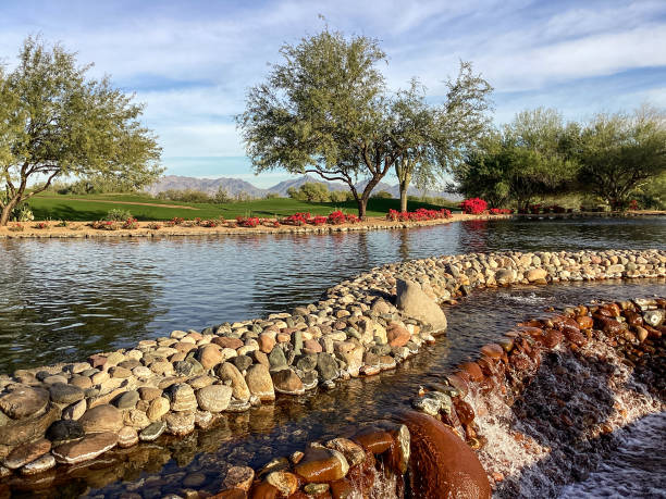 istock Desert Garden  Scottsdale, Arizona 1601754325