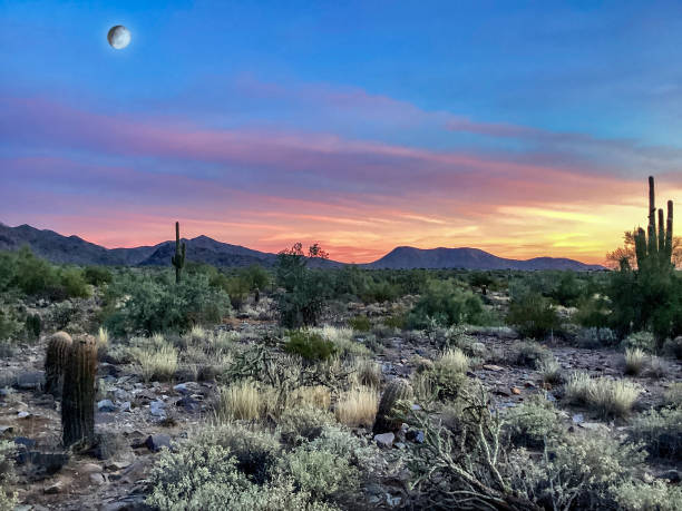 istock McDowell Sonoran Conservancy Gateway Trailhead in Scottsdale, Arizona 1601754878