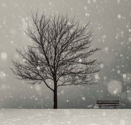 Park bench and tree in heavy snow.  Stitched images.