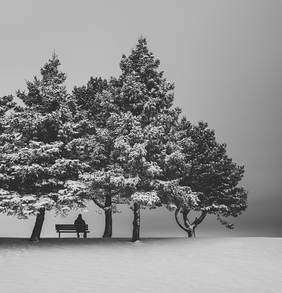 A man sits alone on a park bench amidst Winter's icy grip.  Self portrait.