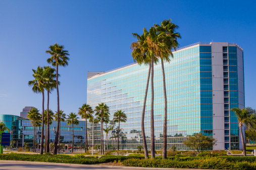 Office building with palm trees