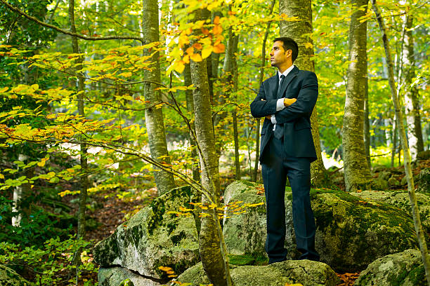Free Stock Photo of Person Standing in the Middle of a Forest ...