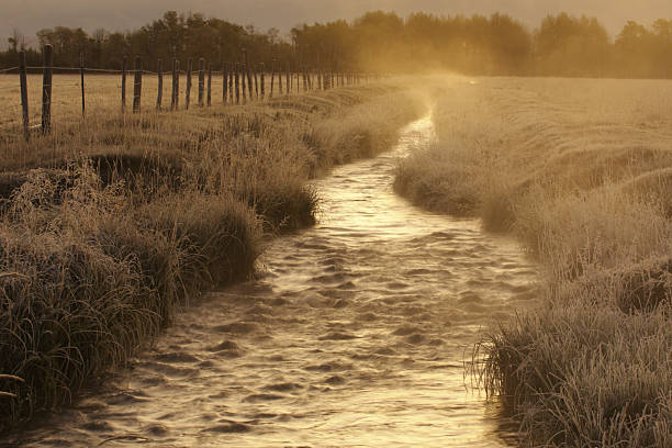 Free picture: ripple, stream, waterway, nature, landscape, water, river ...