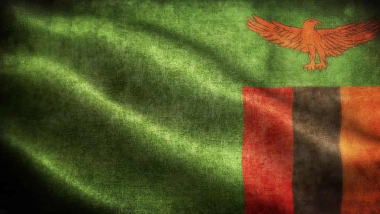 Closeup of grunge Zambia waving flag loopable stock video