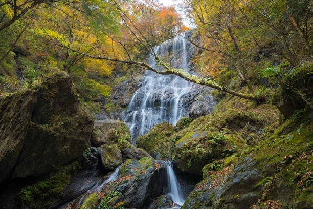 istock waterfall and autumn leaves 1601821498