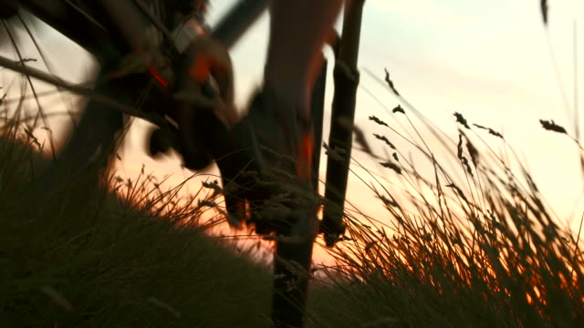 HD: Cycling In The Meadow At Dusk