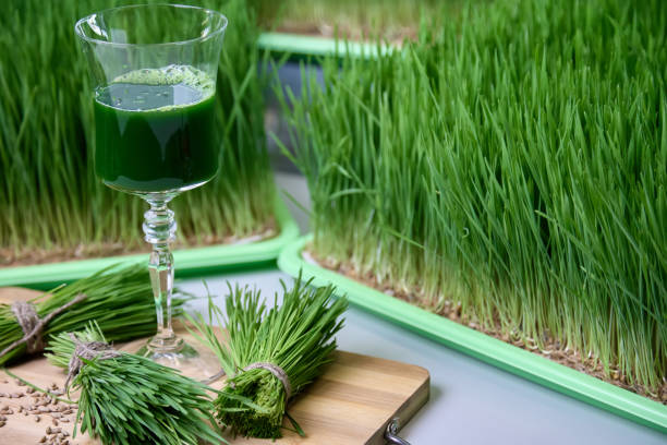 木の板の上に立つ脚のガラスは、おいしい健康的な小麦ジュースで満たされています - wheatgrass alternative medicine detoxification juice ストックフォトと画像