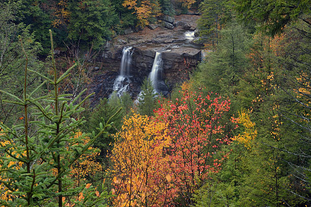 entra en el otoño de blackwater - monongahela national forest landscapes nature waterfall fotografías e imágenes de stock