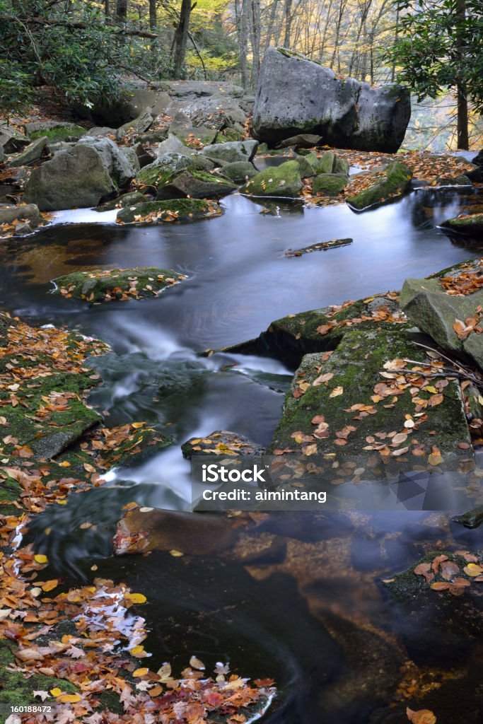 Parco Statale delle cascate di Blackwater - Foto stock royalty-free di Parco Statale