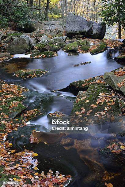 Parco Statale Delle Cascate Di Blackwater - Fotografie stock e altre immagini di Parco Statale - Parco Statale, Virginia Occidentale - Stato USA, Acqua
