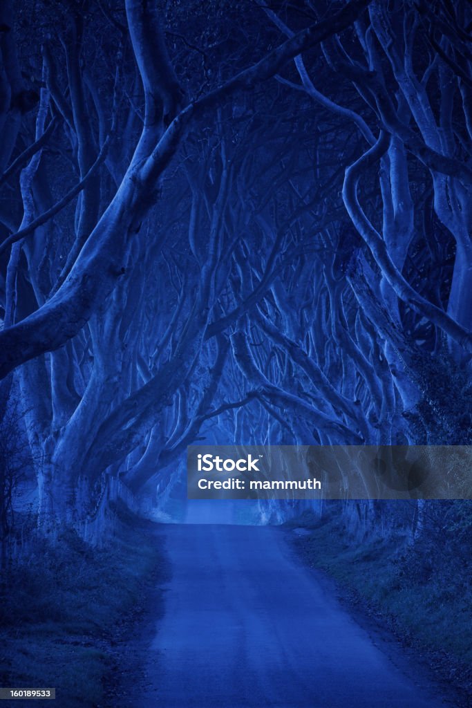 Arborizado road na noite - Foto de stock de Dark Hedges royalty-free