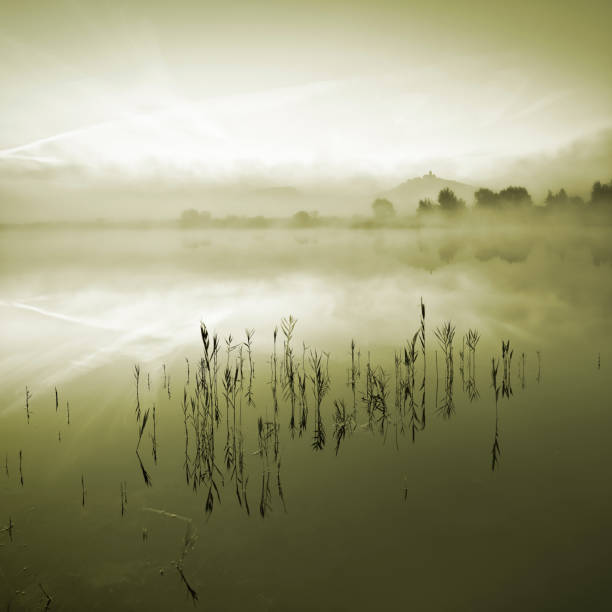 foggy lake ao amanhecer, castelo na hill atrás - spooky horror nostalgia autumn - fotografias e filmes do acervo