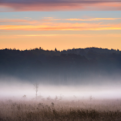 STITCHED from 2 D800 frames, Muritz National Park, Germany