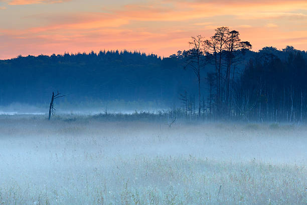 istock Morning Mist rising from Enchanted Moor at Sunrise 160190060