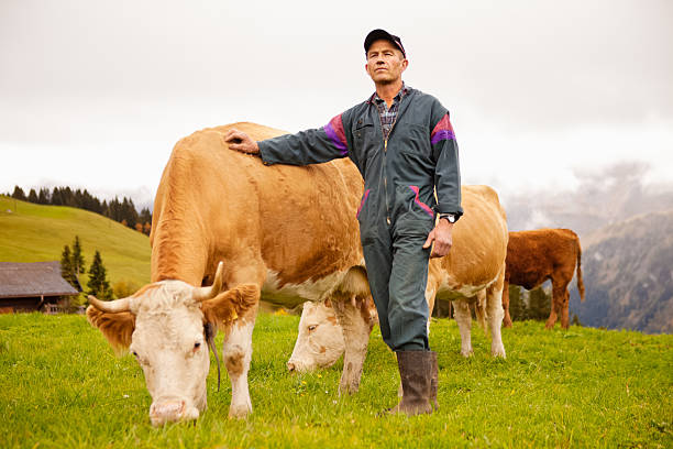 swiss dairy agricultor y su premio de vacas - cow swiss culture switzerland cattle fotografías e imágenes de stock