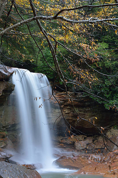 douglas falls - monongahela national forest landscapes nature waterfall fotografías e imágenes de stock