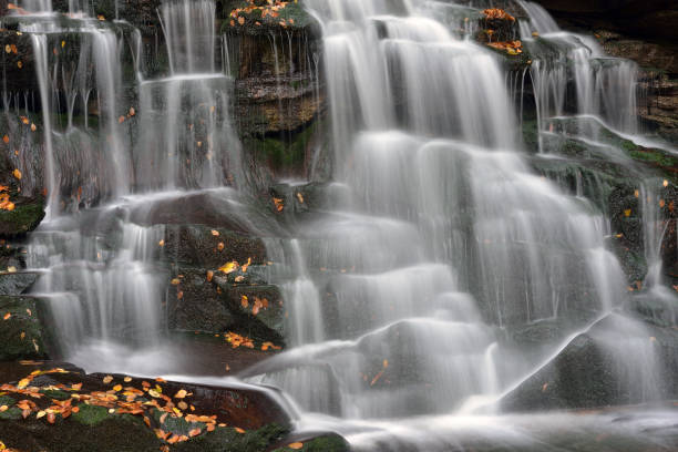 elakala falls - monongahela national forest landscapes nature waterfall fotografías e imágenes de stock