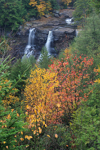 parque estatal blackwater cataratas en otoño - monongahela national forest landscapes nature waterfall fotografías e imágenes de stock