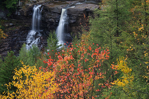 블랙워터 폴즈 - monongahela national forest landscapes nature waterfall 뉴스 사진 이미지