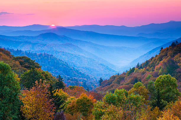 automne de soleil sur la montagne - great smoky mountains photos et images de collection