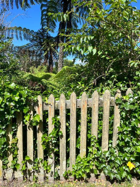istock Sidewalk serenity, rustic wooden fence with overgrowth 1601962635