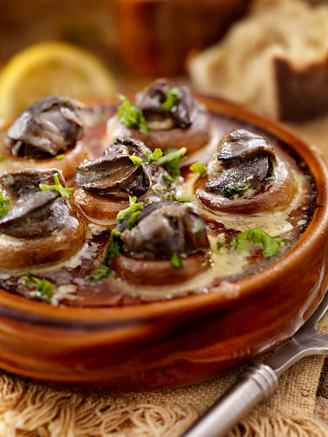 caracol - escargot snail seafood freshness imagens e fotografias de stock