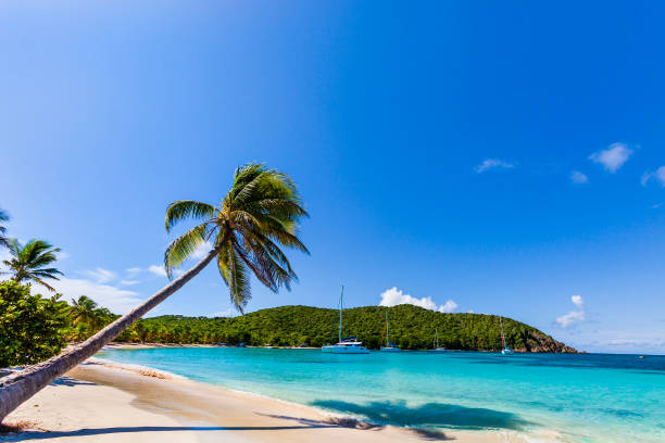 baía de salt whistle, mayreau - ilha mayreau - fotografias e filmes do acervo