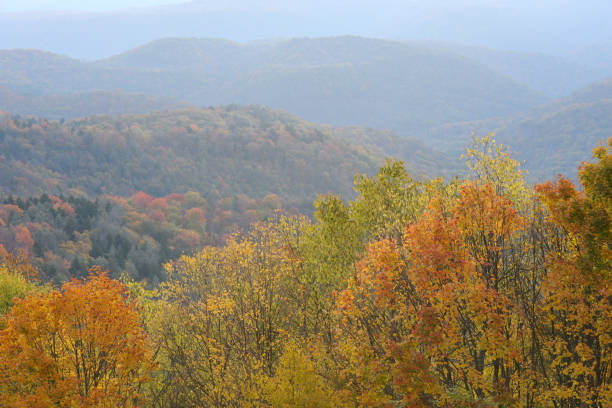 istock Autumn Scenery in West Virginia 160196848