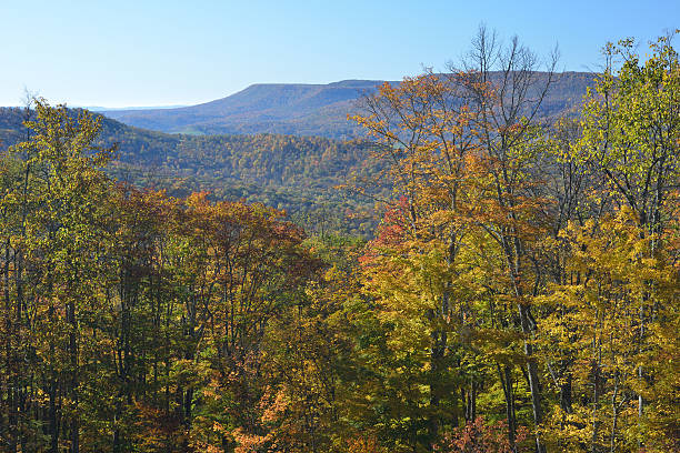 istock Autumn Scenery in West Virginia 160196933