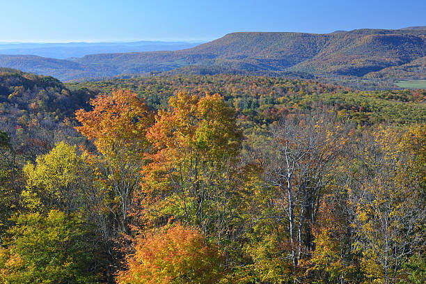 istock Autumn Scenery in West Virginia 160196952