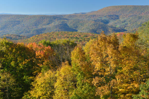 istock Autumn Scenery in West Virginia 160196955