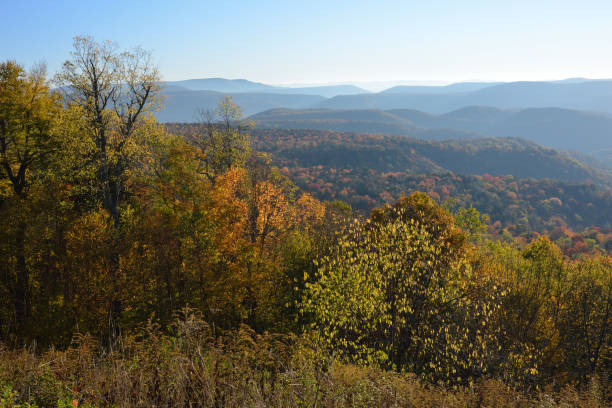 istock Mountain Scenery in West Virginia 160197017