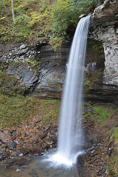 cataratas de hills creek en west virginia - monongahela national forest landscapes nature waterfall fotografías e imágenes de stock