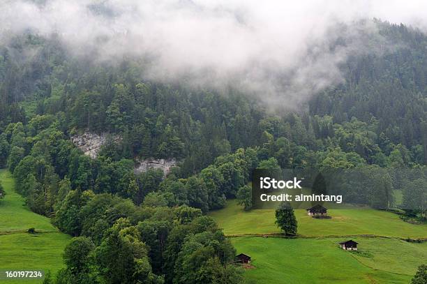 Пастбище В Швейцарии — стоковые фотографии и другие картинки Без людей - Без людей, Бернское нагорье, Гора