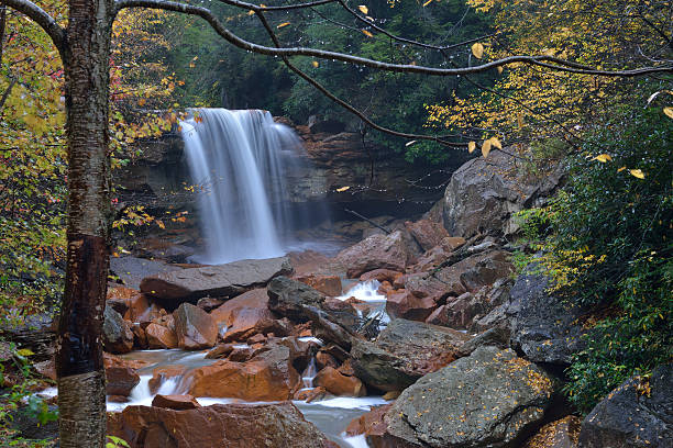 douglas falls - monongahela national forest landscapes nature waterfall fotografías e imágenes de stock