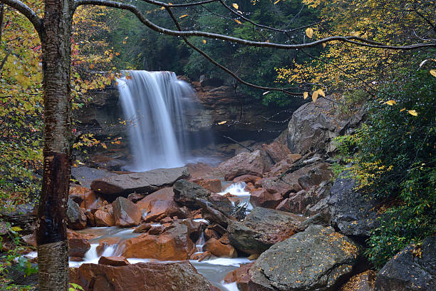 douglas 폴즈 - monongahela national forest landscapes nature waterfall 뉴스 사진 이미지