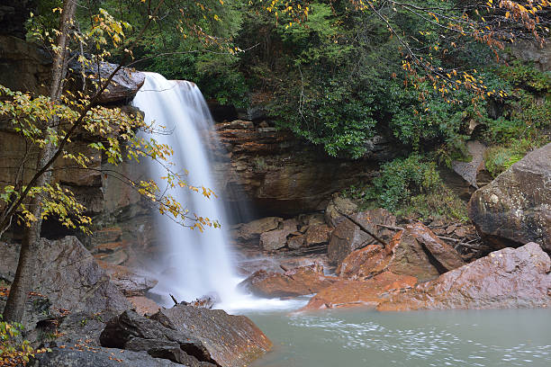 douglas 폴즈 - monongahela national forest landscapes nature waterfall 뉴스 사진 이미지