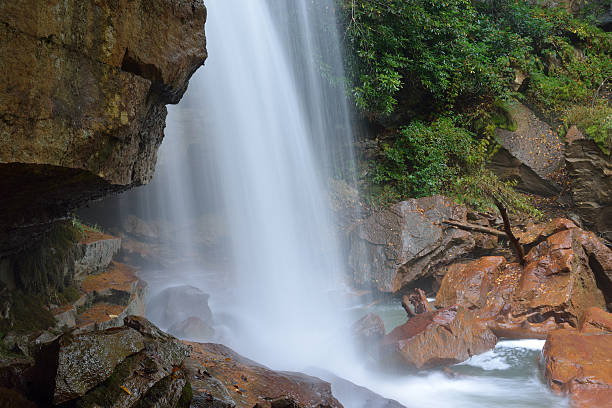 douglas 폴즈 - monongahela national forest landscapes nature waterfall 뉴스 사진 이미지