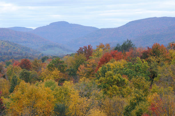 canaan in autunno - canaan valley foto e immagini stock