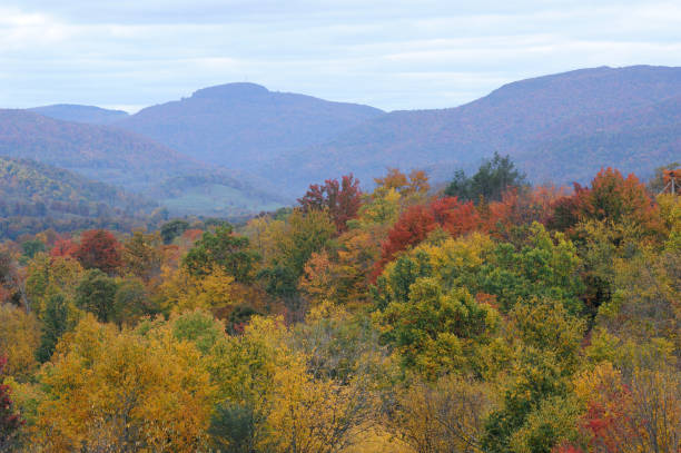 istock Canaan Valley in Autumn 160197477